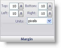 The margin pane in the gauge designer.