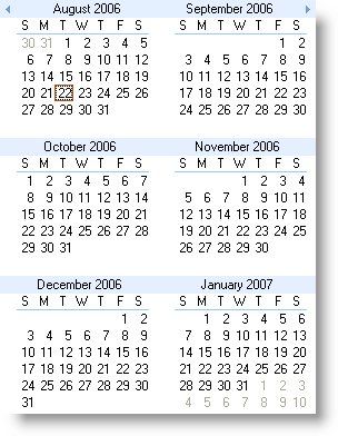Image of WinMonthViewMulti